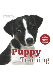 Puppy Training