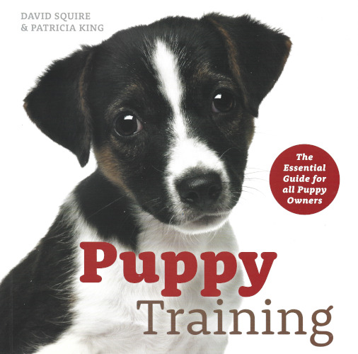 Puppy Training